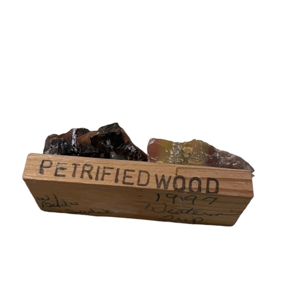 Vintage Petrified Wood, cabbing rough, gemstone, specimen, mineral rough, - Picture 3 of 6